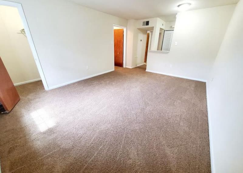 Richmond Condo: 300 S Arther Ashe Blvd