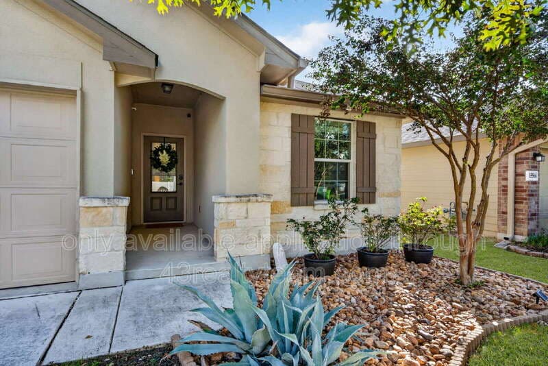 San Antonio House: 15562 Gray Catbird