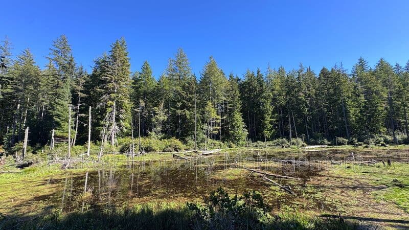 Port Orchard House: 3835 SW Alava Ct