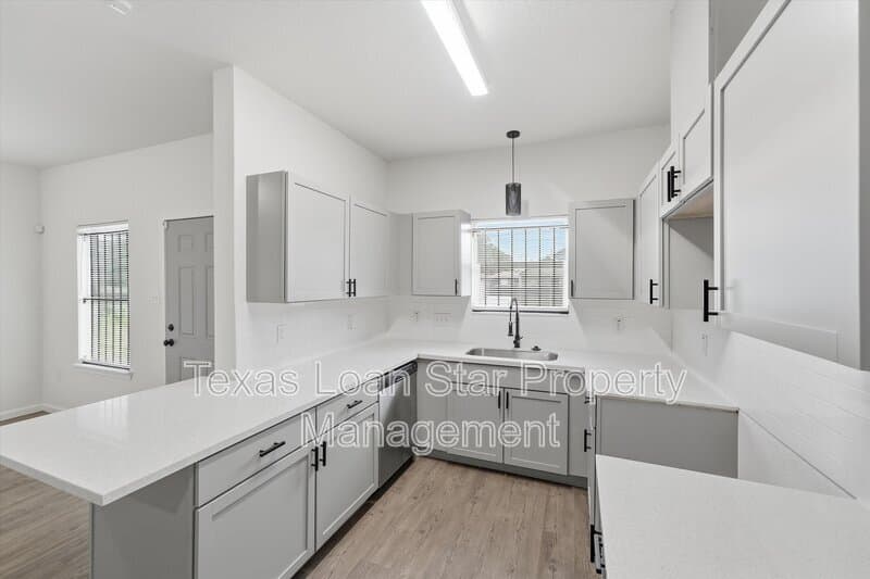 Houston Condo: 319 N Carolina St