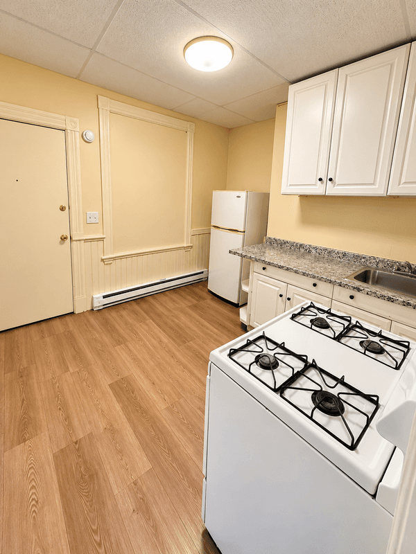 Albany Condo: 65 North Lake Avenue - 3