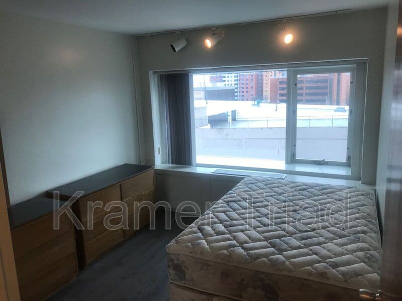 Ann Arbor Condo: 555 E William