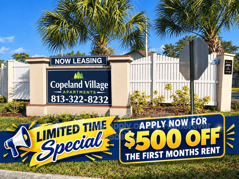 Tampa Condo: 1256 E 113th Ave