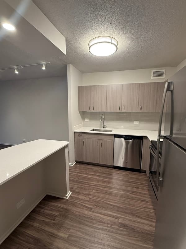 Chicago Condo: 1154 n dearborn st
