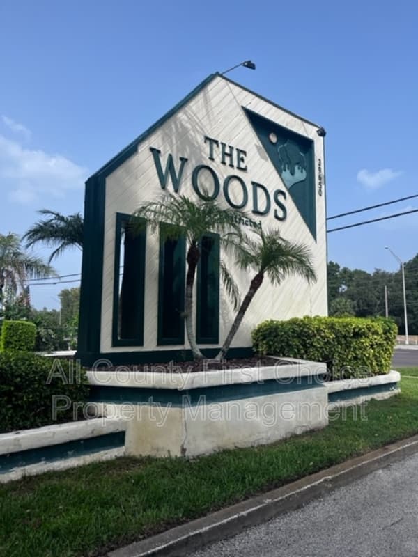 Tarpon Springs House: 39650 US 19 N
