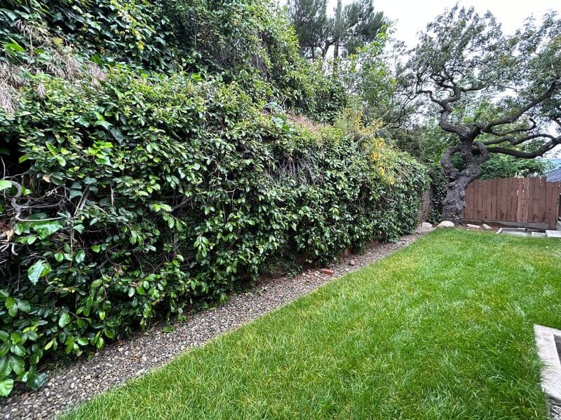 La Cañada Flintridge House: 5128 Crown Ave.
