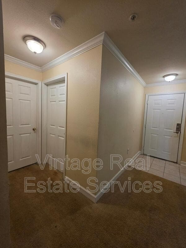 Tampa Condo: 18563 Bridle Club Drive