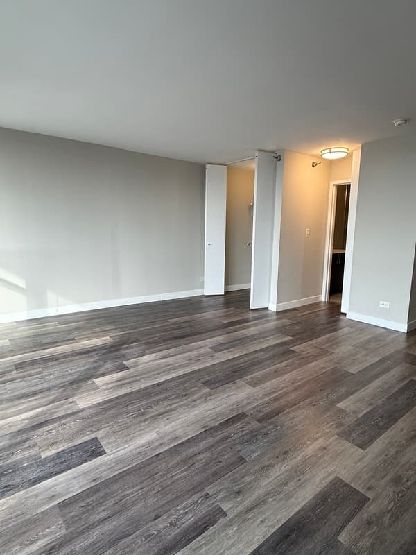 Chicago Condo: 870 N  State St.