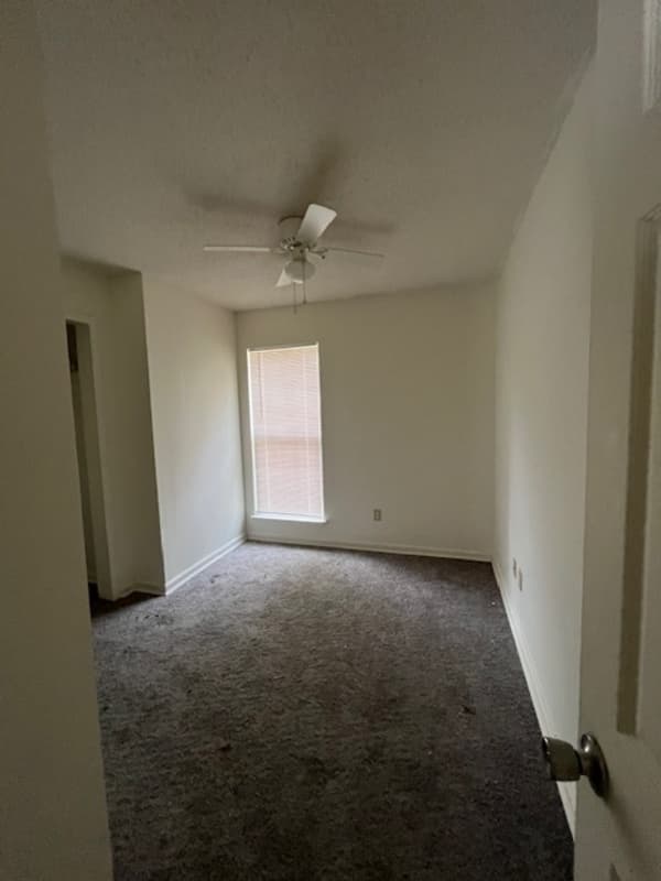 Austin House: 20 Opal Mae