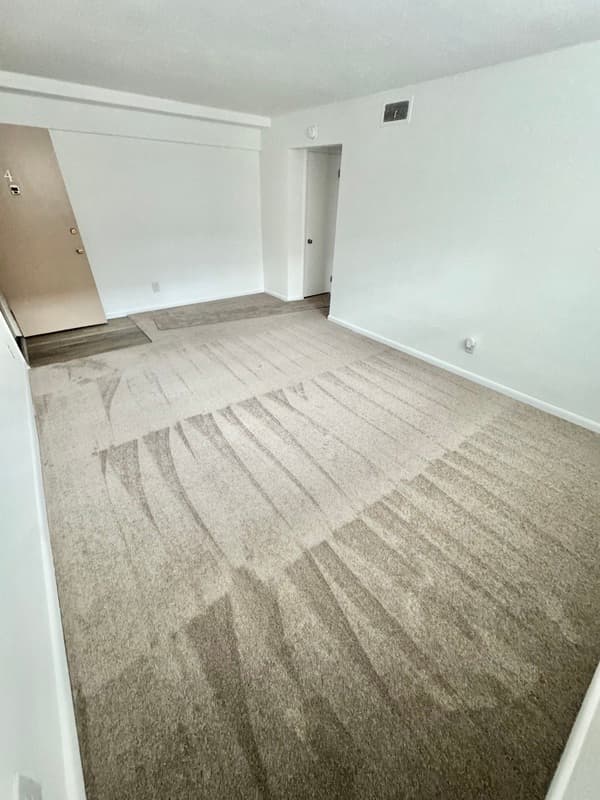 Richmond Condo: 3021 Park Ave