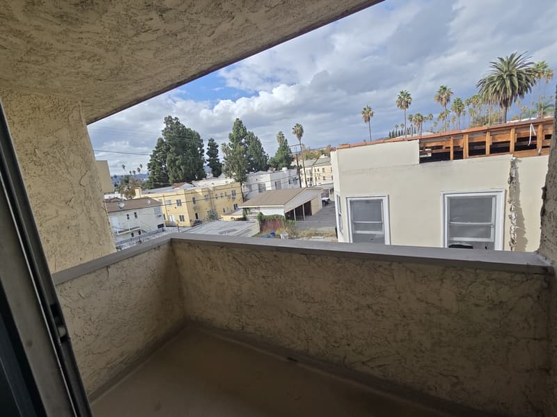 Los Angeles Condo: 123 South Catalina Street - 311