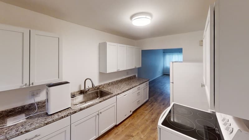 Ann Arbor Condo: 1112 Fountain Street