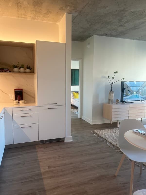 Chicago Condo: 200 N Desplaines