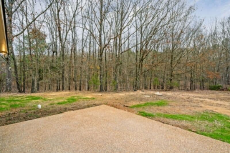 Byhalia House: 31 Scattered Oak Drive
