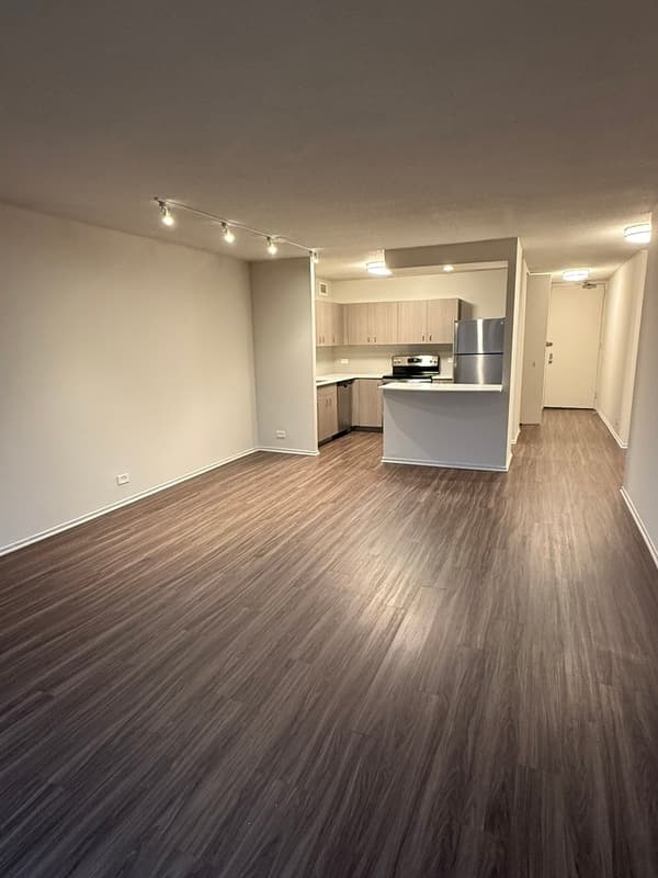 Chicago Condo: 1154 n dearborn st