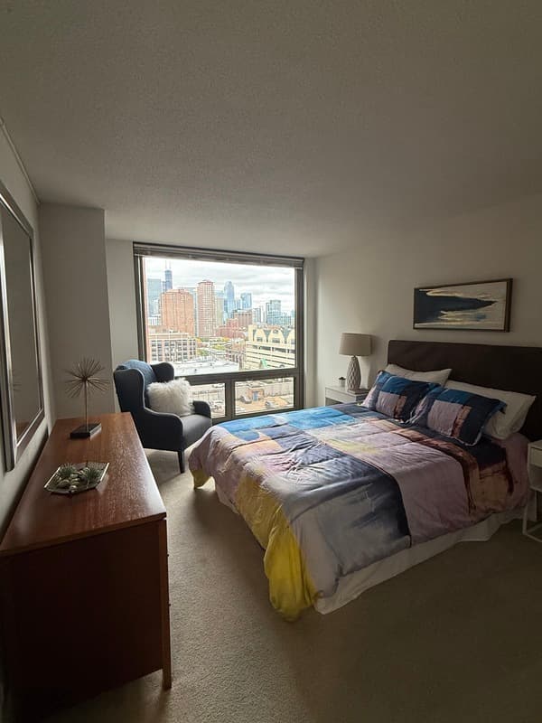 Chicago Condo: 1135 N Dearborn St