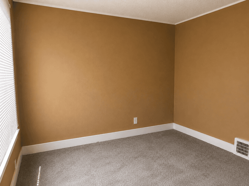 Detroit House: 14877 Lesure Street