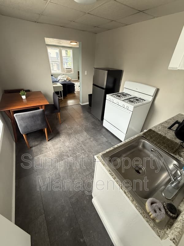 Sioux Falls Condo: 302 North Spring Avenue- 3