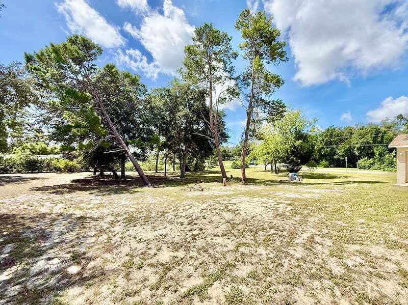 Weeki Wachee House: 10300 Noddy Tern Road