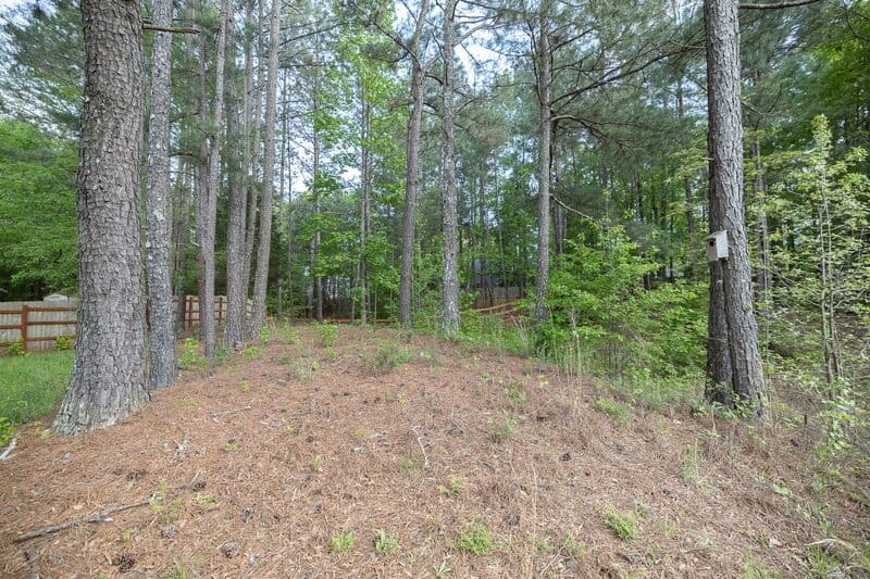 Athens House: 125 Whispering Springs