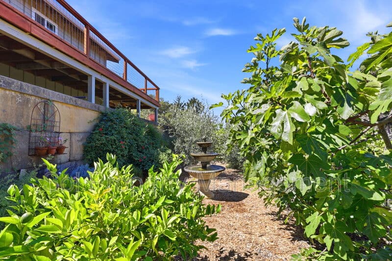 Santa Cruz House: 140 Spaten Way