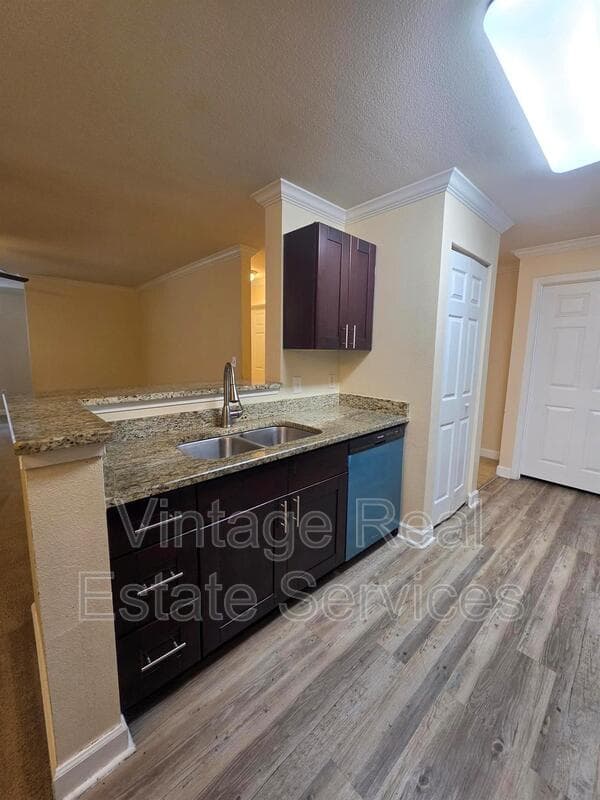 Tampa Condo: 18563 Bridle Club Drive