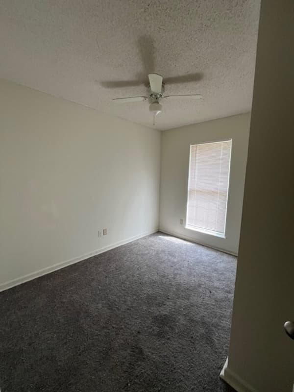 Austin House: 20 Opal Mae
