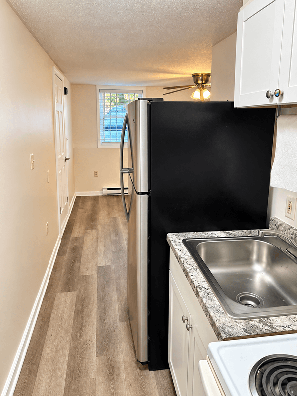 Albany Condo: 350 Madison Avenue - b