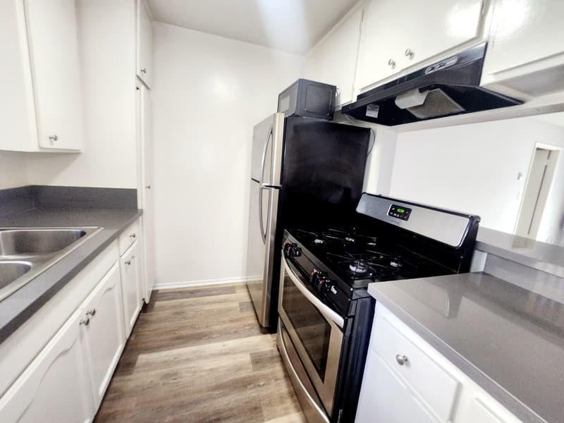 Los Angeles Condo: 123 South Catalina Street - 216