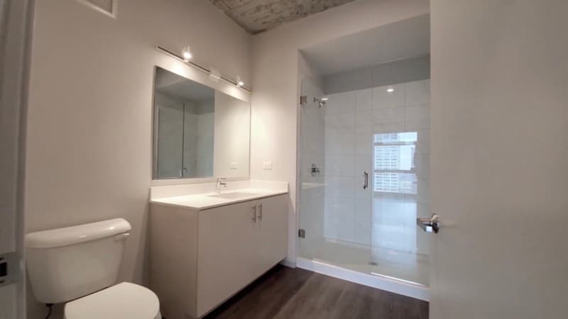 Chicago Condo: 743 S Clark St