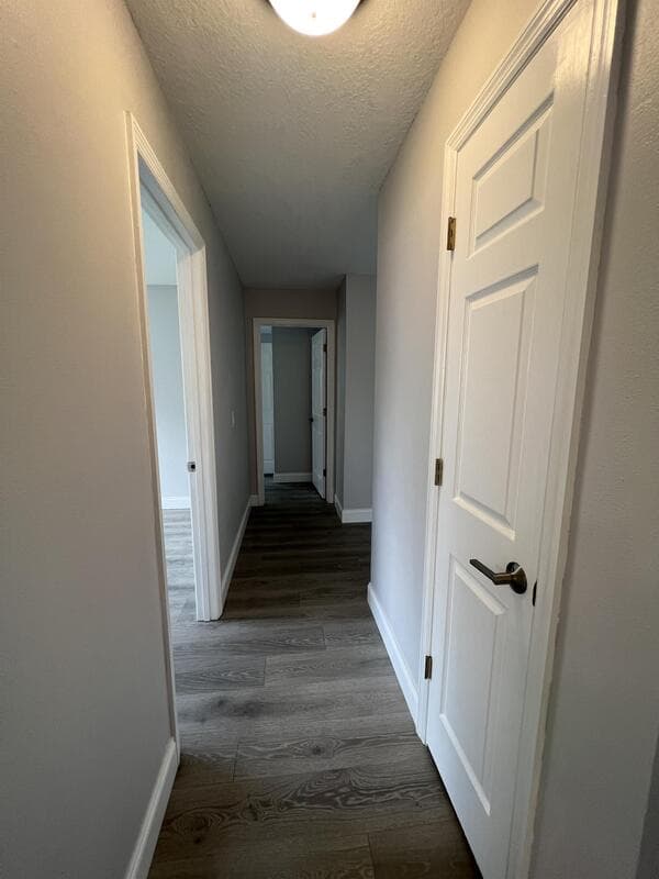 Orlando House: 1313 Summer Breeze Road