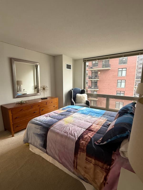 Chicago Condo: 1135 N Dearborn St