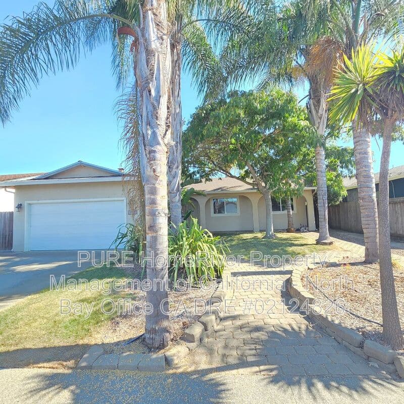 Petaluma House: 1640 Jeffrey Drive