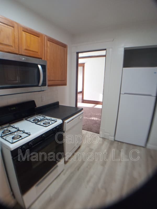 Lansing Condo: 220 W Lapeer St