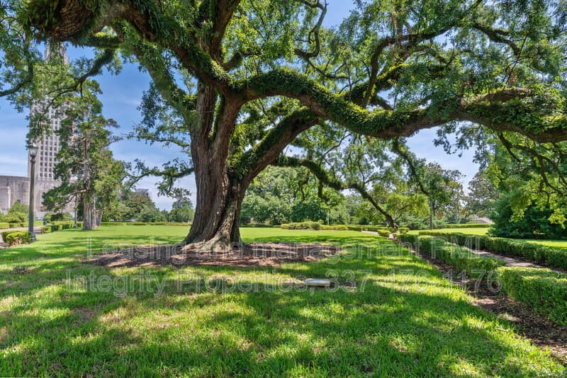 Baton Rouge Apartment: 850 North 5th Street
