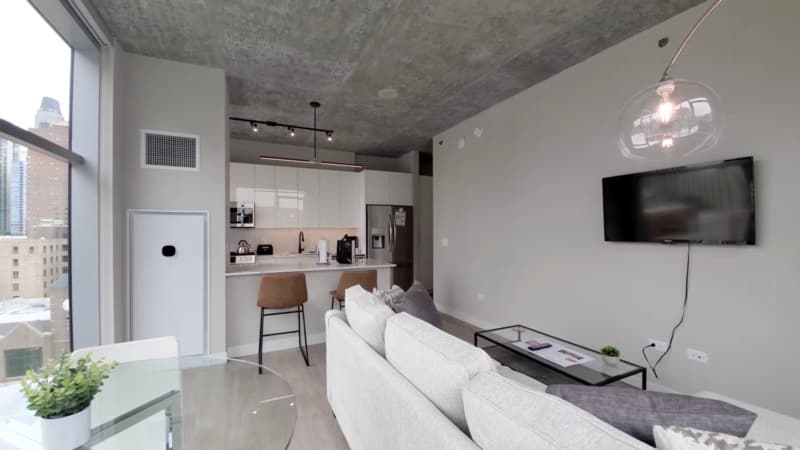 Chicago Condo: 107 W Hubbard St