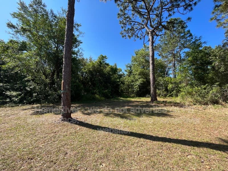 Spring Hill House: 17344 Dalberg Dr