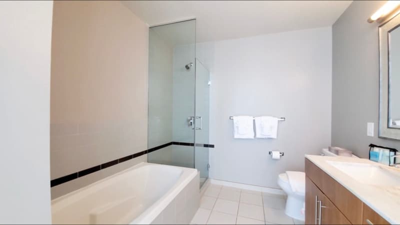 Chicago Condo: 501 N State St