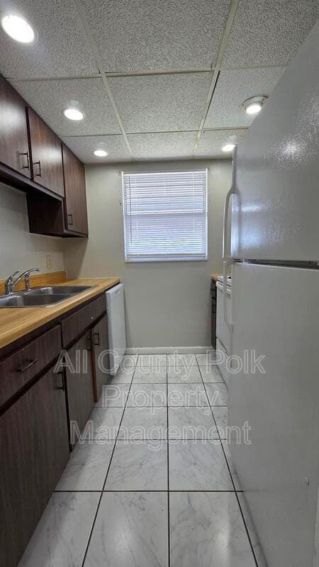 Lake Alfred Condo: 927 S Buena Vista Dr