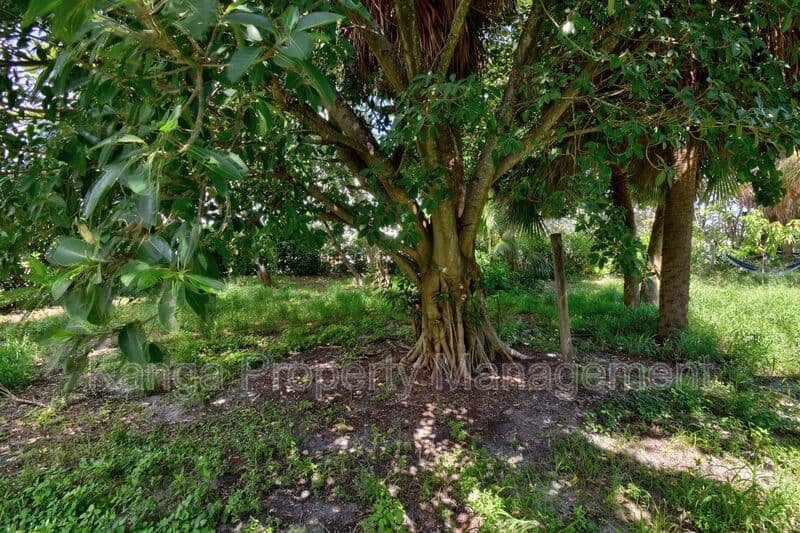 West Palm Beach House: 639 6th Street