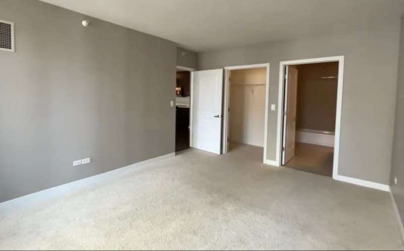 Chicago Condo: 739 N Wabash Ave