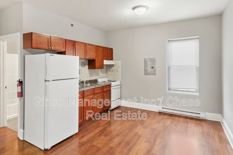 Joliet Condo: 115 North Hickory Street - C