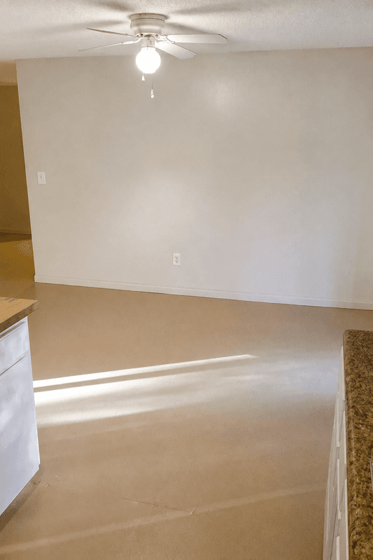 Tampa House: 3712 Patina Drive