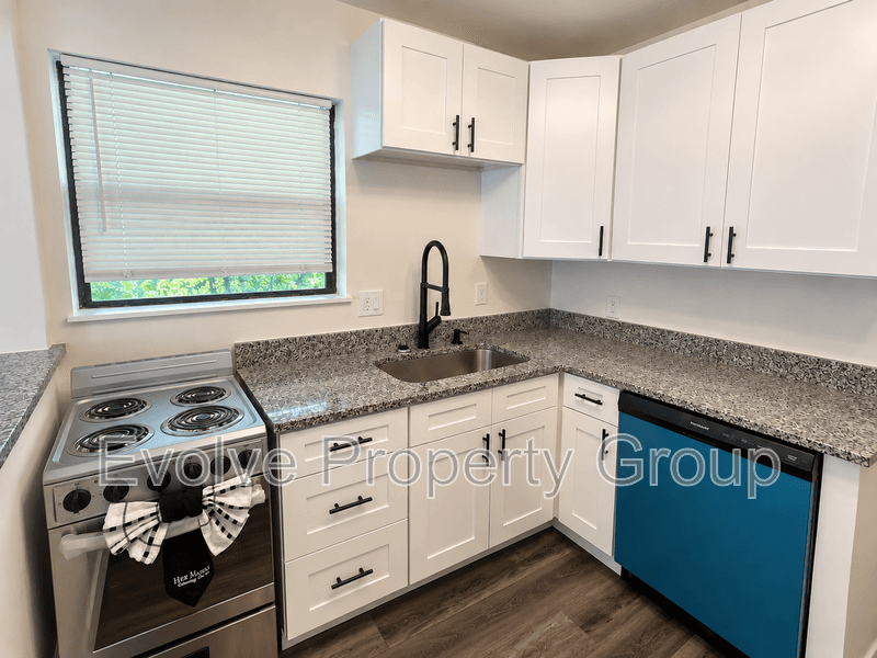 Orlando House: 1303 E Harding St