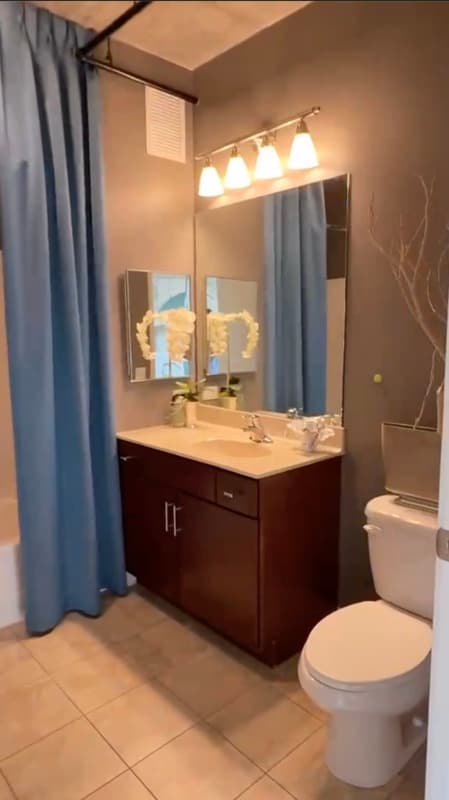Chicago Condo: 741 S Clark St.