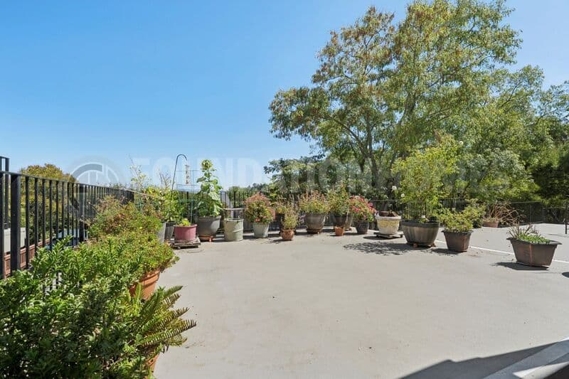 San Rafael Condo: 237 Picnic Avenue