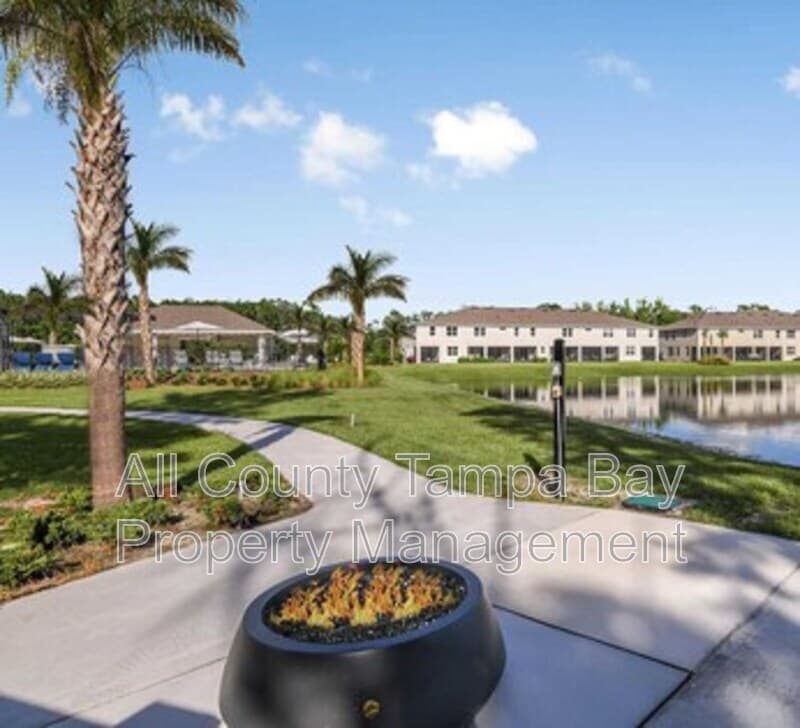 Lutz Townhome: 26122 Fantasy Sky Lane