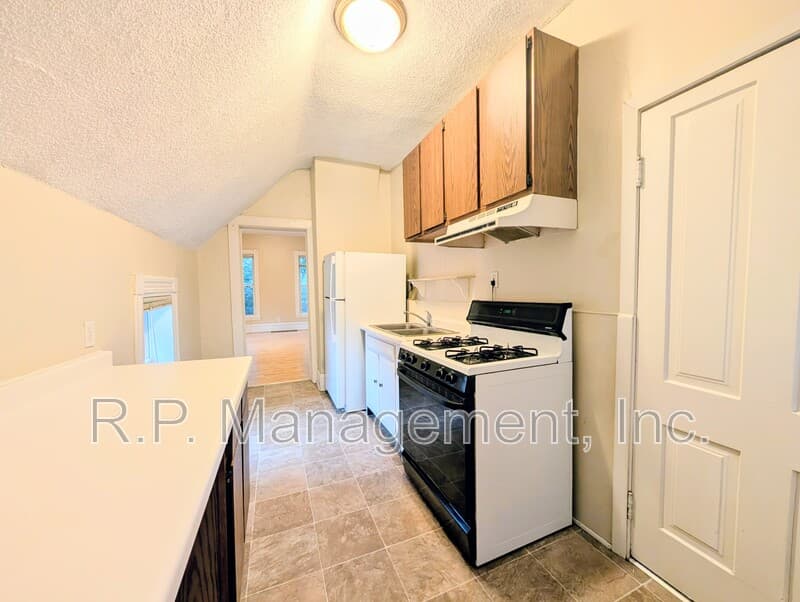 Saint Paul Condo: 2048 Carroll Ave