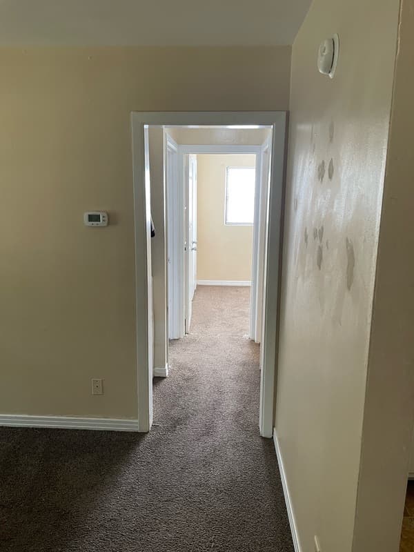 Tallahassee House: 1522 Myrtle Dr