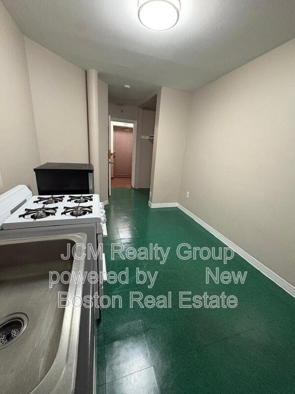 Jamaica Plain Condo: 191 Green St
